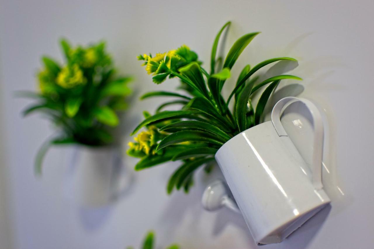 Carla Apartamentos Nazaré Zewnętrze zdjęcie